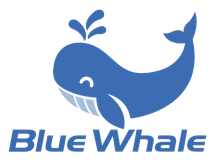 Blue Whale